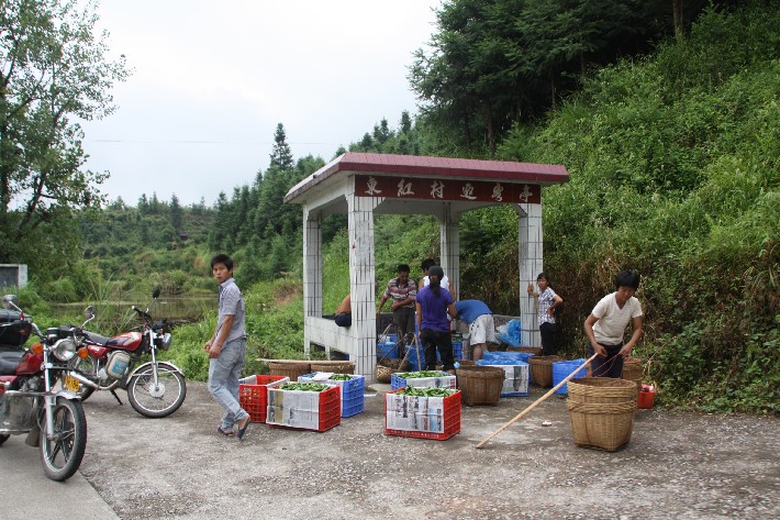 ���� (18).JPG