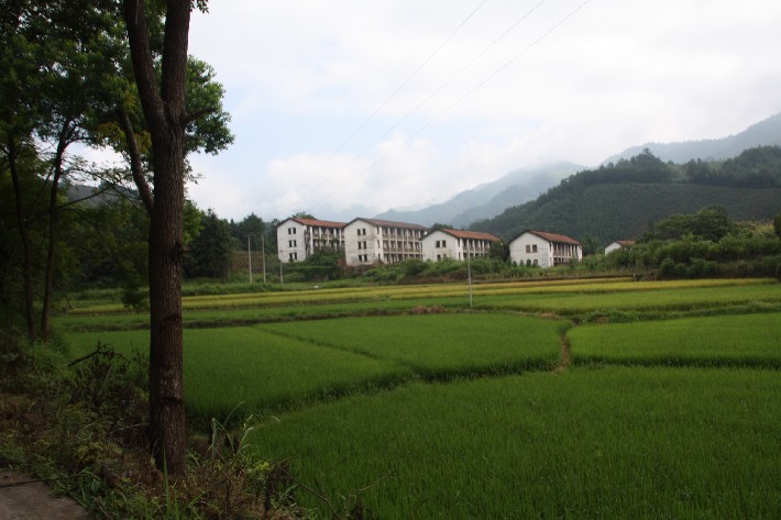 ���� (22).JPG