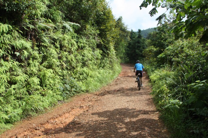 ���� (30).JPG