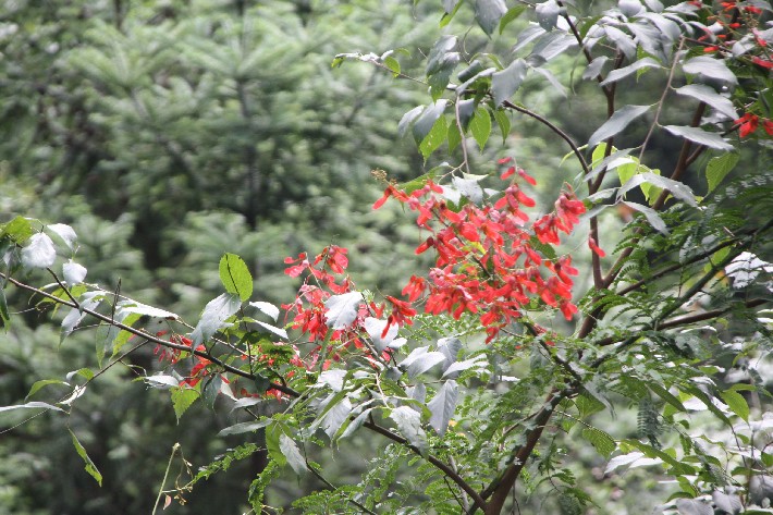 ���� (35).JPG