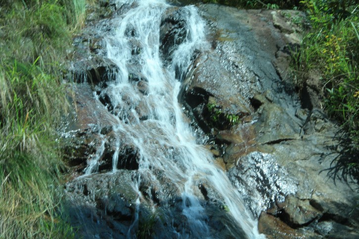 ���� (41).JPG