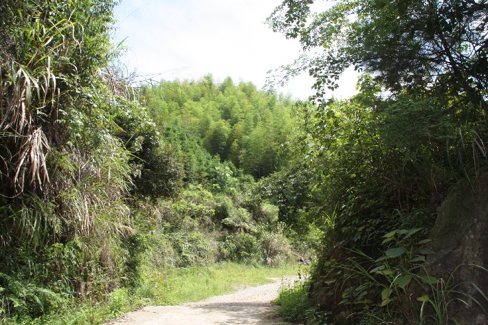 ���� (43).JPG