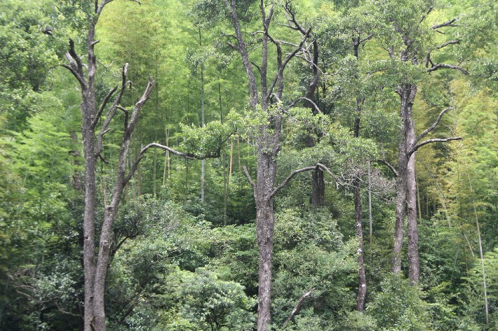 ���� (45).JPG