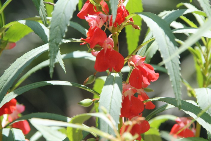 ���� (57).JPG