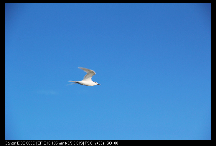 �ݶ�ƽ�� 273_nEO_IMG.jpg