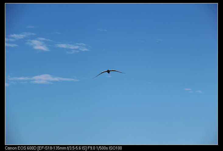 �ݶ�ƽ�� 276_nEO_IMG.jpg