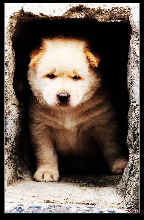 ��ɽ���ݲɷ� 549_nEO_IMG.jpg