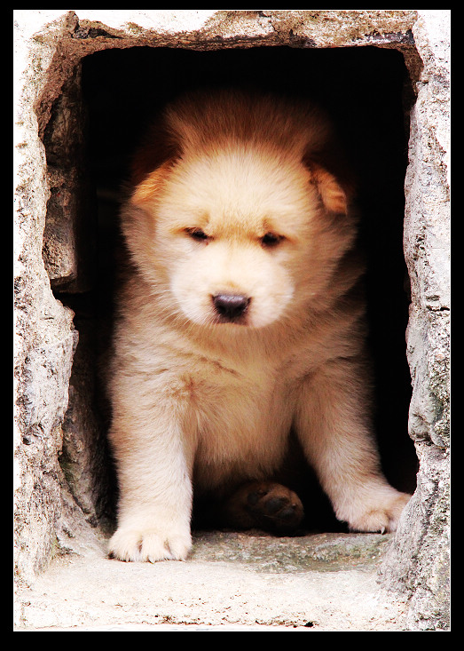 ��ɽ���ݲɷ� 551_nEO_IMG.jpg