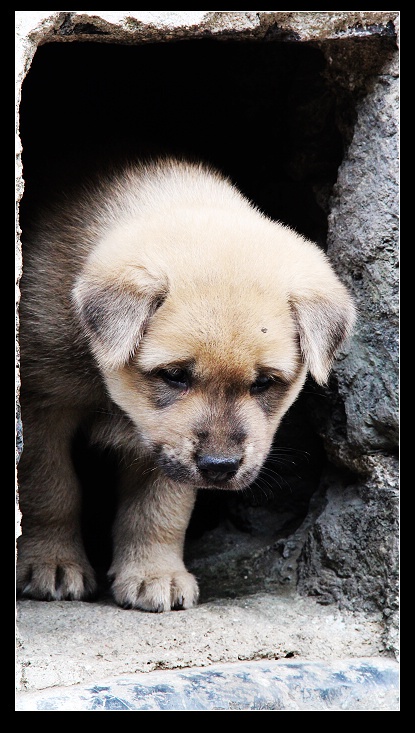 ��ɽ���ݲɷ� 552_nEO_IMG.jpg