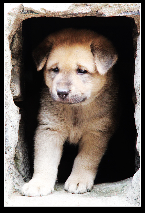 ��ɽ���ݲɷ� 559_nEO_IMG.jpg