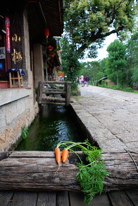 nEO_IMG_DSC0001 (126).jpg