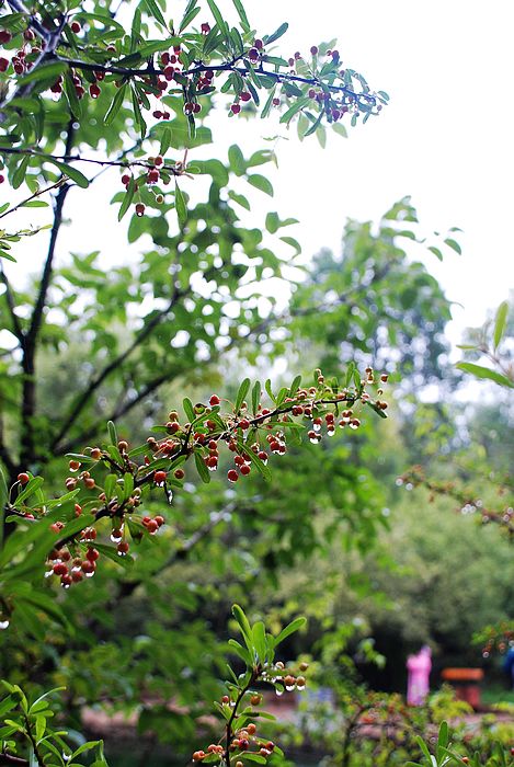 nEO_IMG_DSC0001 (252).jpg