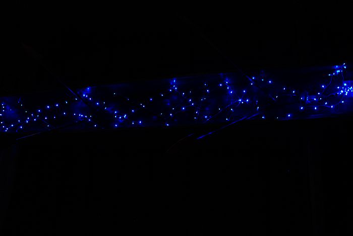 nEO_IMG_DSC0001 (268).jpg