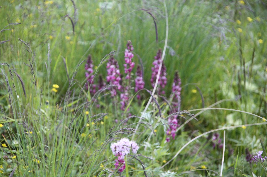 �������� (3).JPG