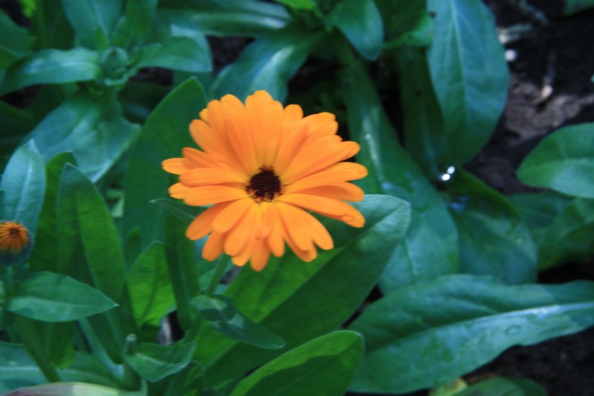 �������� (6).JPG