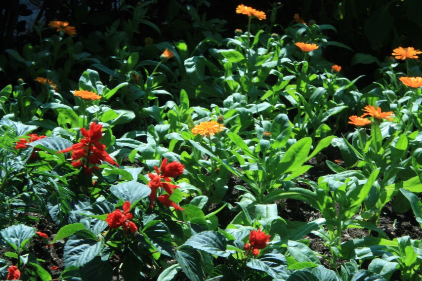 �������� (9).JPG