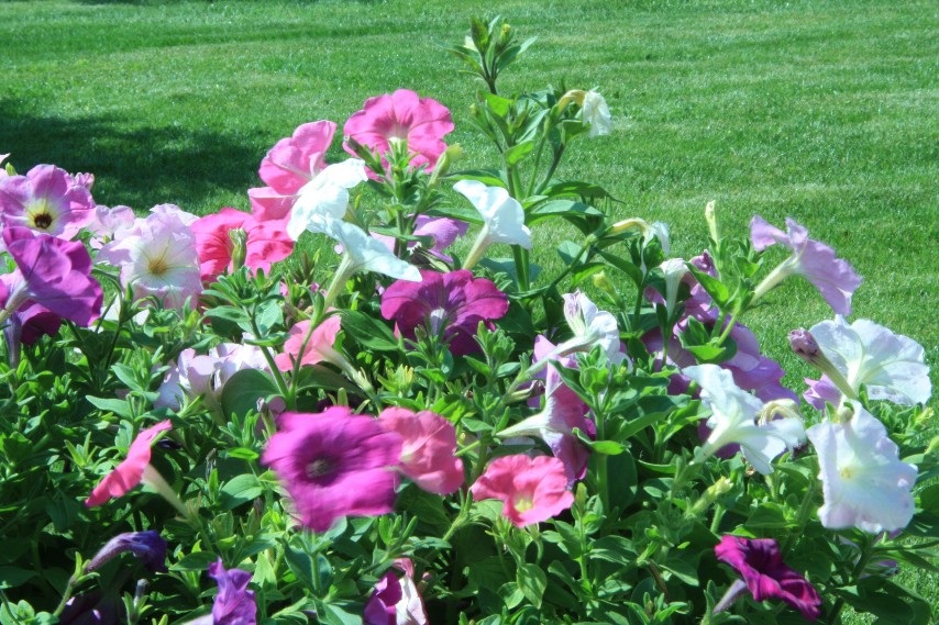 �������� (10).JPG