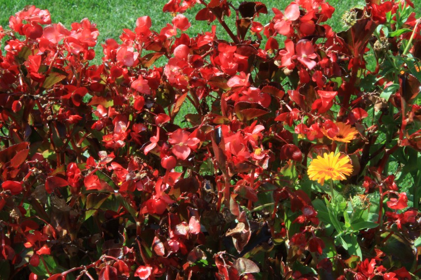 �������� (11).JPG