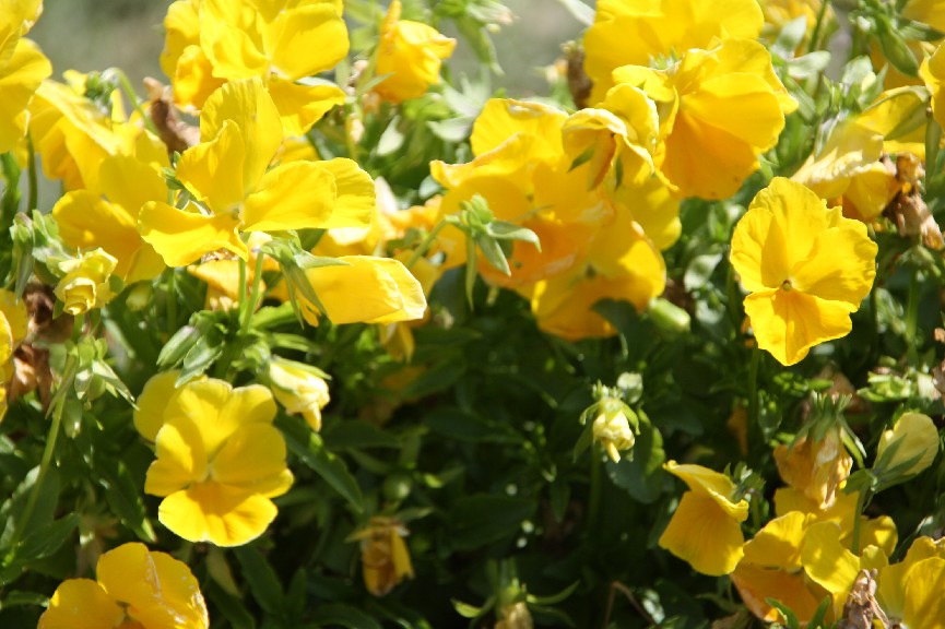 �������� (14).JPG