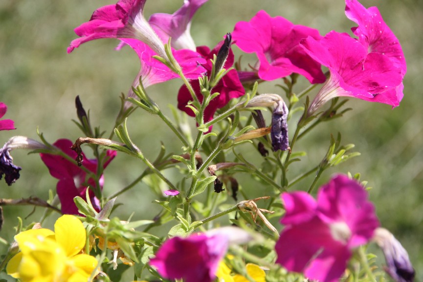 �������� (15).JPG