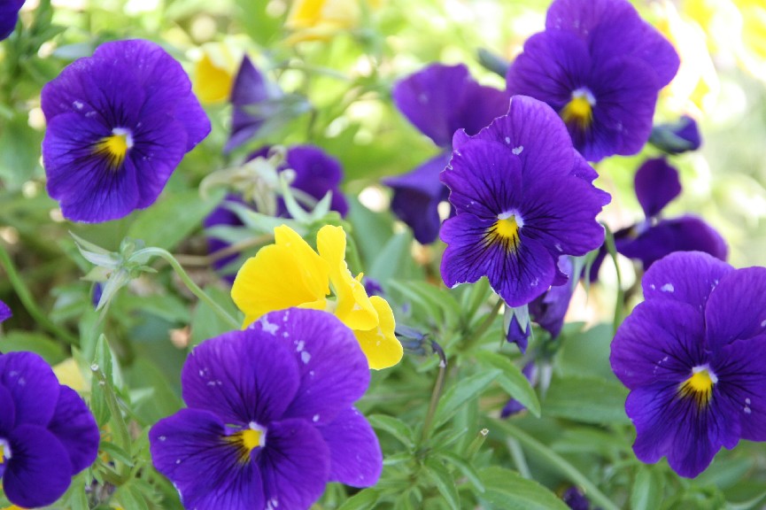 �������� (16).JPG