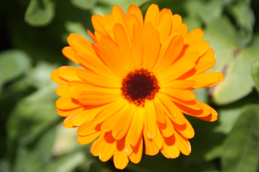 �������� (18).JPG