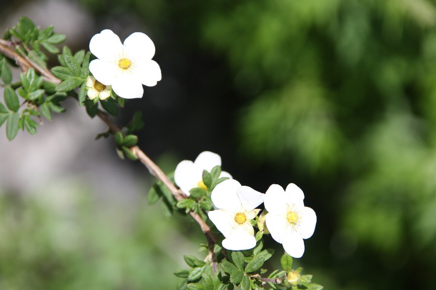 �������� (19).JPG