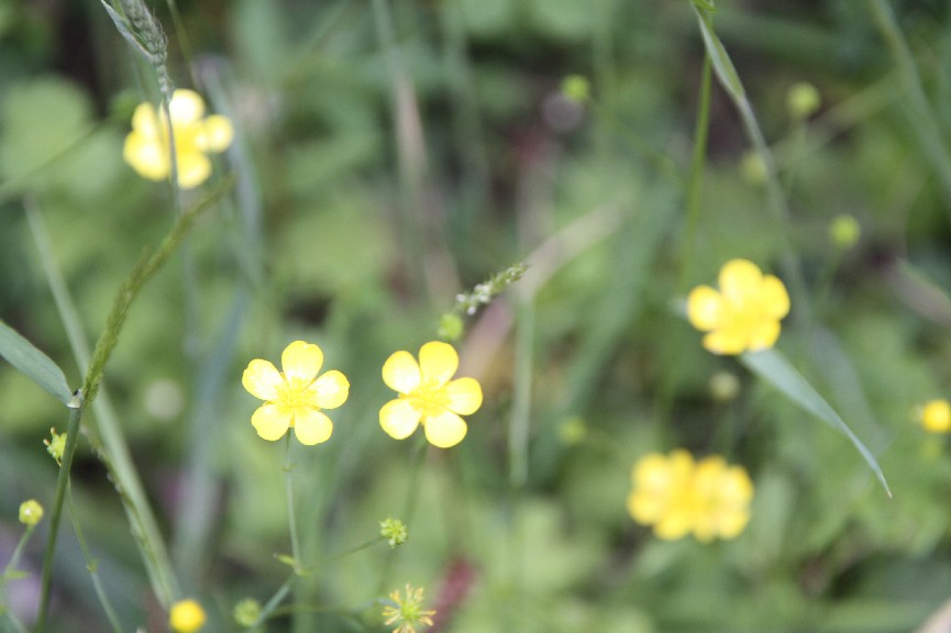 �������� (21).JPG