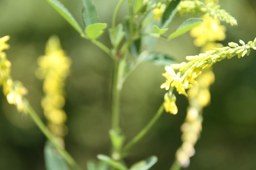 �������� (22).JPG