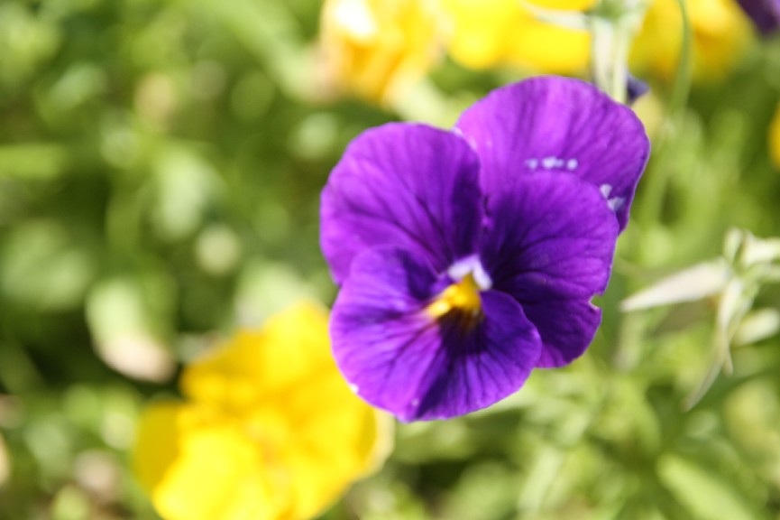 �������� (23).JPG