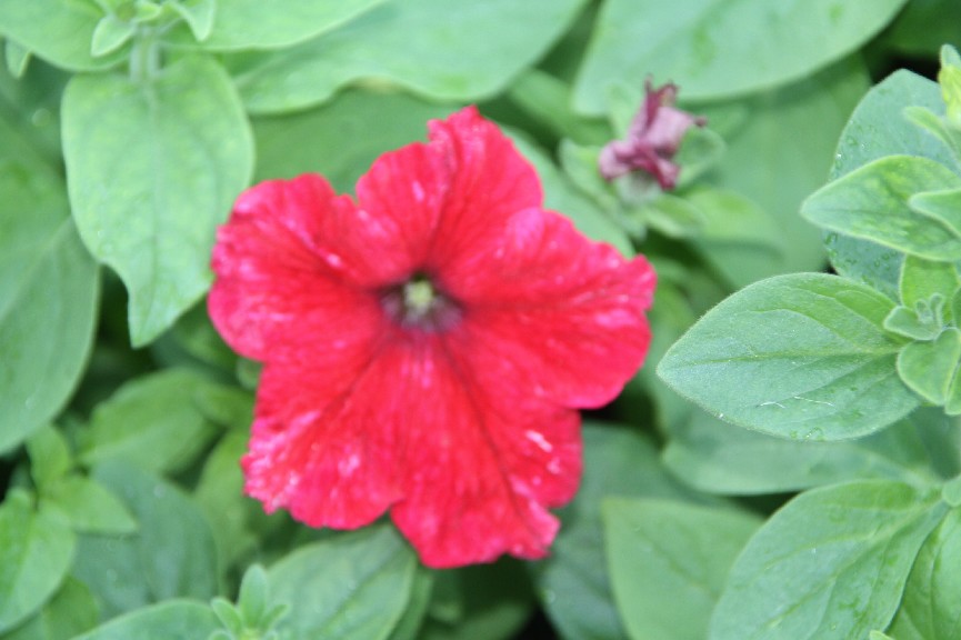 �������� (24).JPG