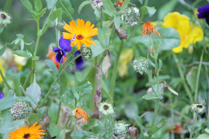 �������� (25).JPG