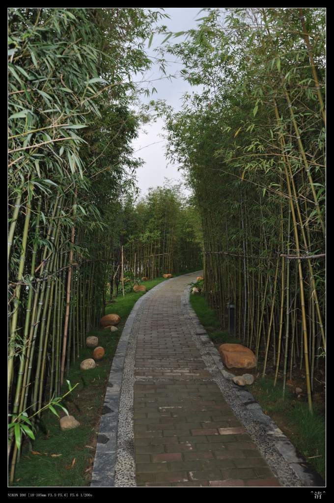 DSC_0166 (NXPowerLite).jpg