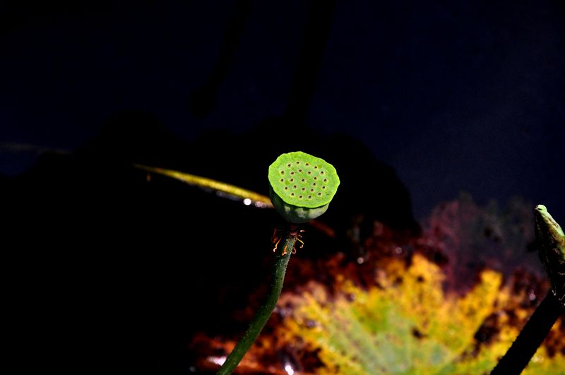 8.12�ɻ� 020(ps).jpg