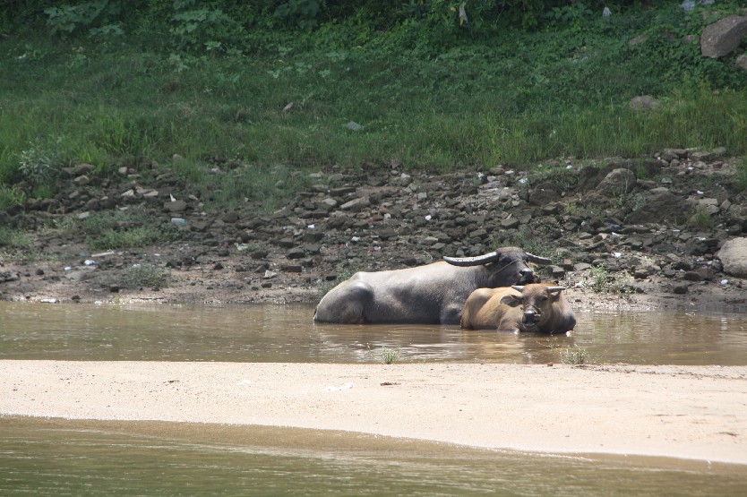 ���к̲�.���� (15).JPG