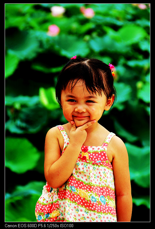 ��ɽ���ݲɷ� 480_nEO_IMG.jpg