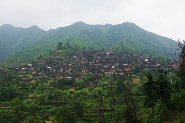 ׳����ԭ��̬��������կ 