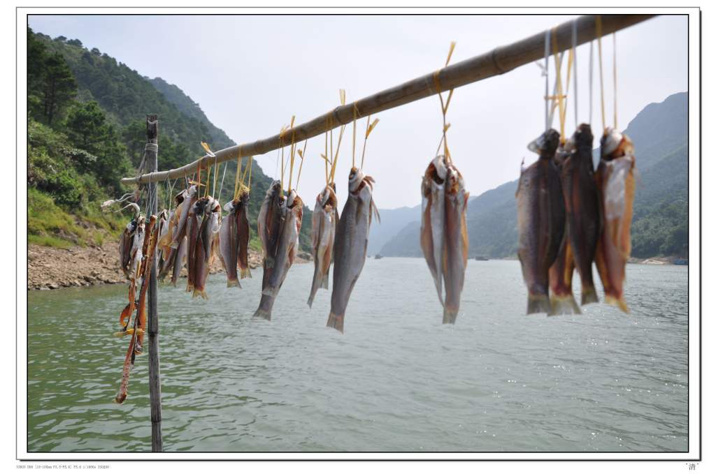 DSC_0280 (NXPowerLite).jpg