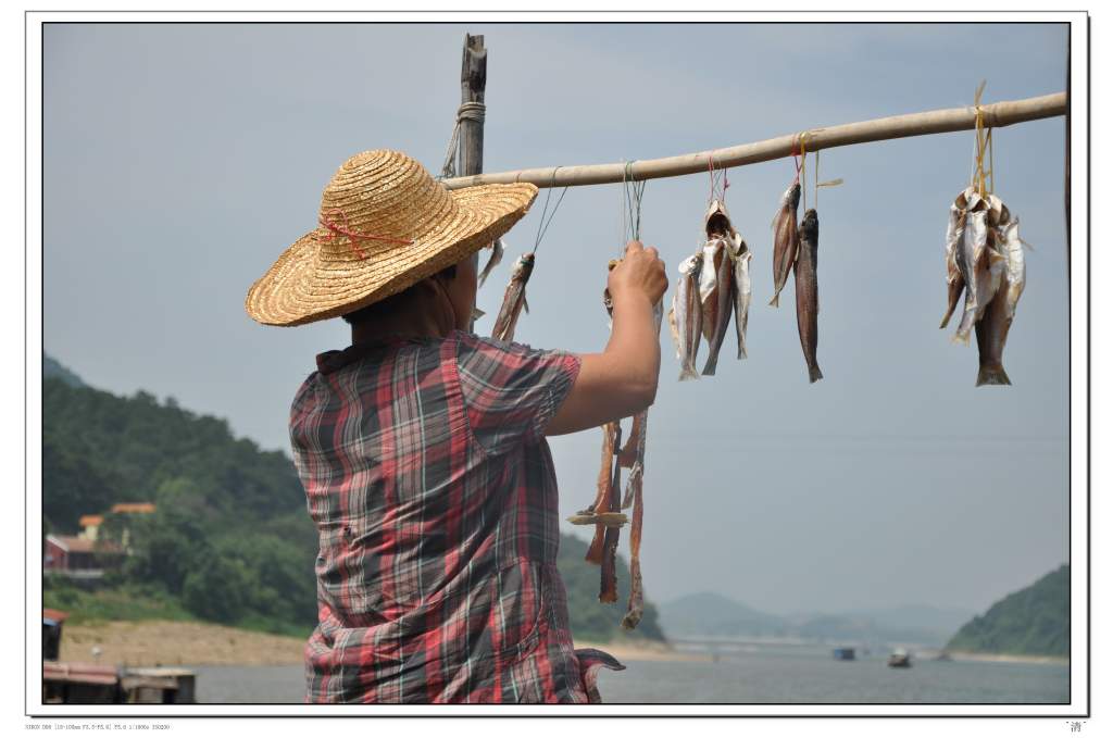 DSC_0302 (NXPowerLite).jpg