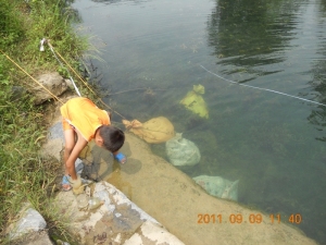 ���С����׽��