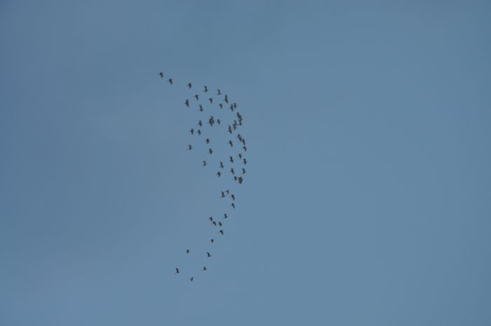 nEO_IMG_��Ƭ 387.jpg