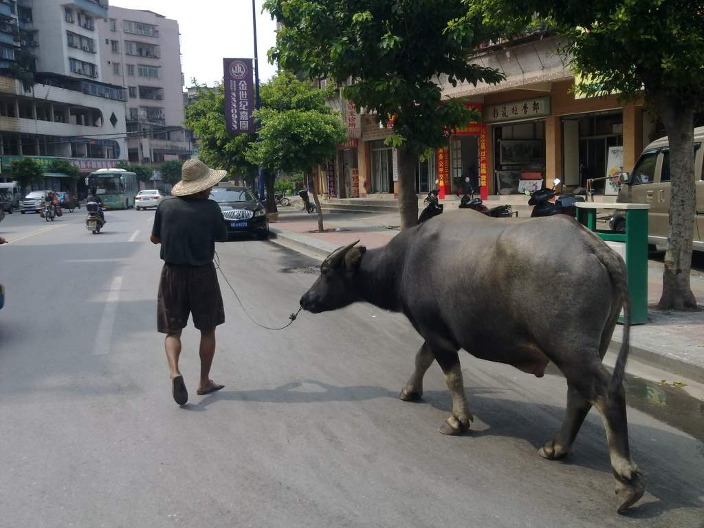 ͼ��1399 (NXPowerLite).jpg