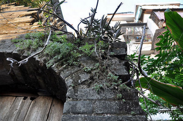 nEO_IMG_��Ƭ 235.jpg