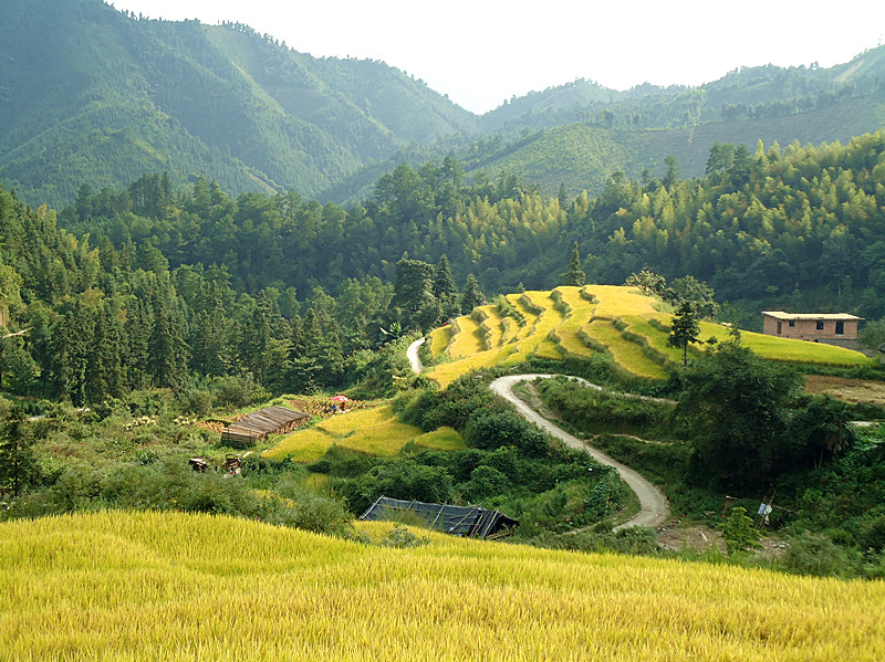 ŷ�Ҵ�����