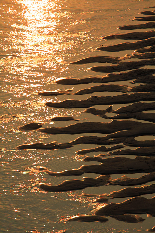 IMG_0910_���� (3).jpg