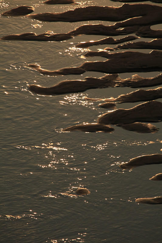 IMG_0910_���� (4).jpg