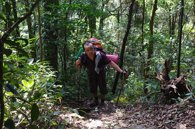 �������������޾�һ������