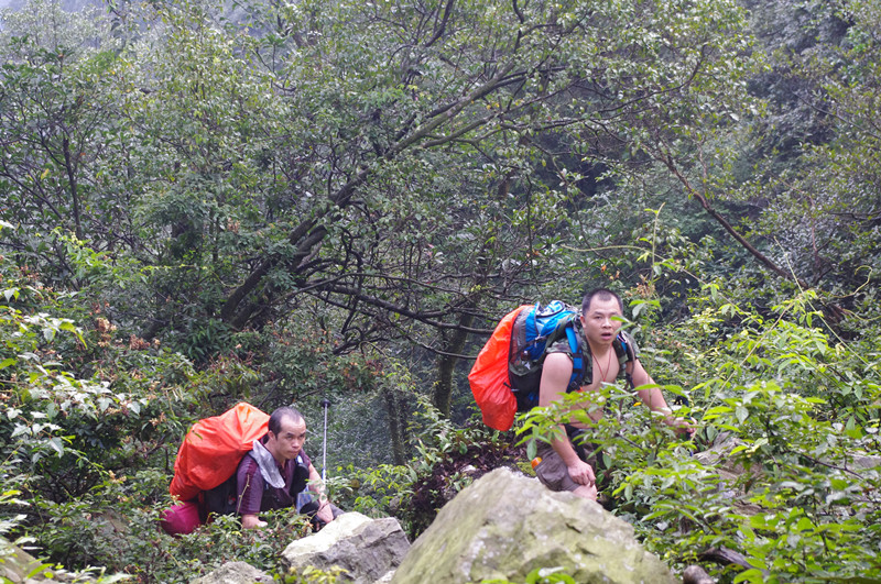 ����һֱ�����Ǽ�ǿ�ĺ�ܣ�