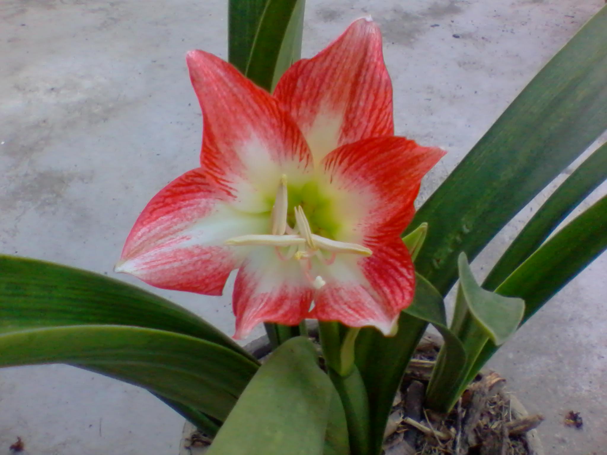 2011-09-15 18.15.51.jpg