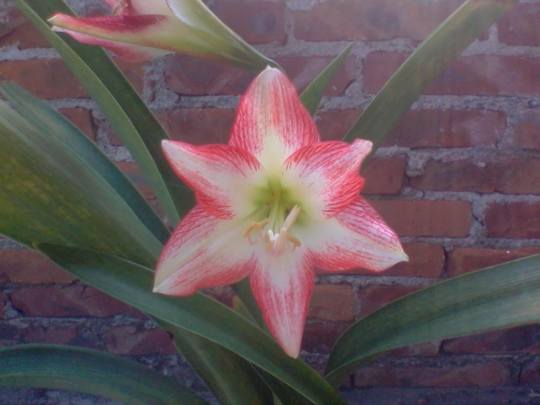 2011-09-18 08.09.05.jpg